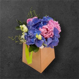 Hortensie mov si bujori