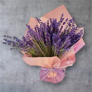 Lavanda