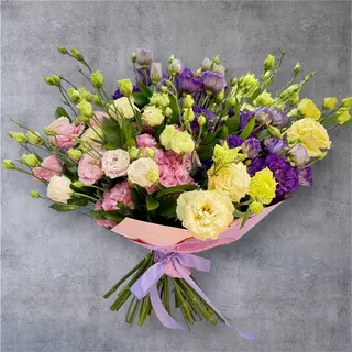 Lisianthus multicolor de Vara