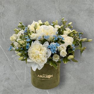 Bujori albi și Oxipetalum