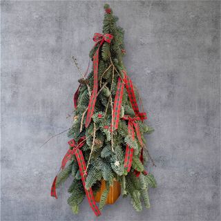 Brad 50cm construcție crengi