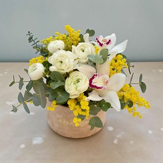 Ranunculus și mimoza