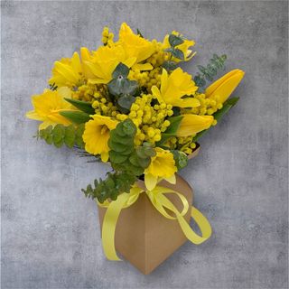 Narcise, Mimoze, Lalelel