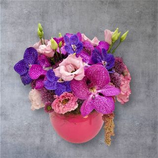 Orhidee Vanda în vas ceramic Roz de Vara