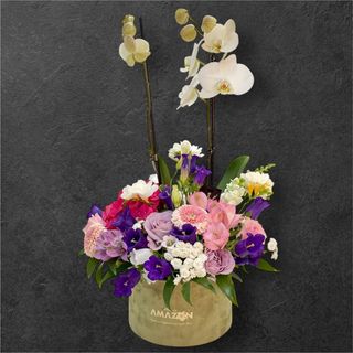 Orhidee si flori în cutie