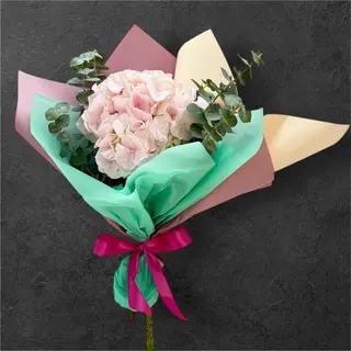 Hortensie roz