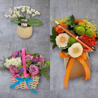 Pachet Flori și Planta Școală Cos-Buchet-Orhidee