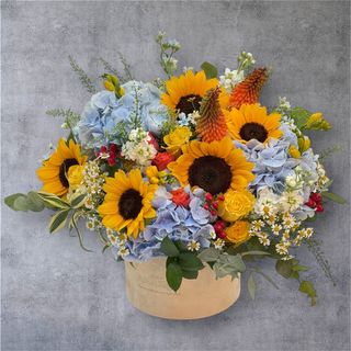 Hortensii și Floarea Soarelui