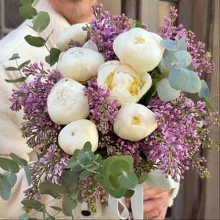 Liliac și Bujori de Iarnă