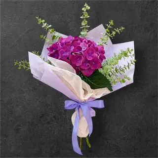 Hortensie Mov