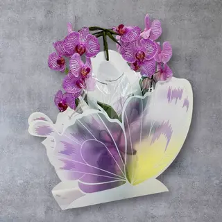 Butterfly Orhidee roz