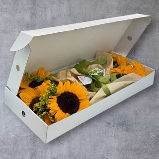 Flowers at Home – Sunlight | 7 fire de floarea-soarelui