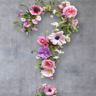 Flori de Sf Maria pastel alegerea floristului
