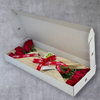 Flowers at Home – Explorer Red | 9 trandafiri Ecuador