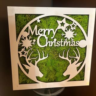 Tablou licheni 2 - Merry Christmas