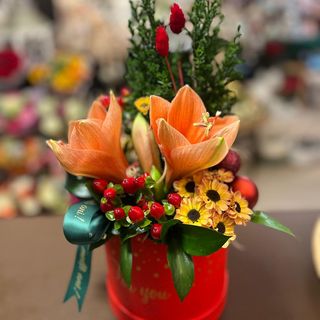 Cutie cu brăduți și flori naturale