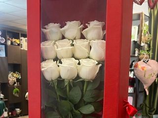 Pasiune în Cutie - 11 trand