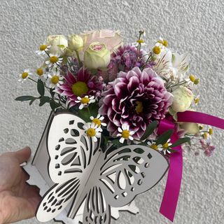 Cutie fluture