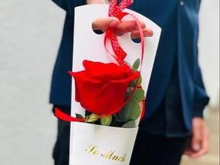Un trandafir, o mie de emoții