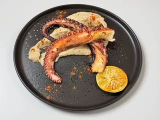 Caracatiță