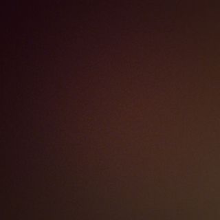 Tortelinni Quatro Formaggi