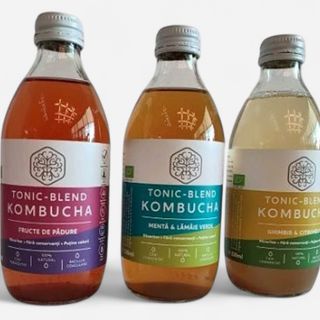Kombucha Fructe de pădure/Ghimbir&Citronela/Mentă&Lămâie verde