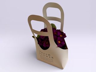 Primula (culoare aleatorie)