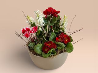 Aranjament Mare cu plante