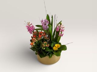 Aranjamentul Primaverii