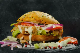 Doner de pui
