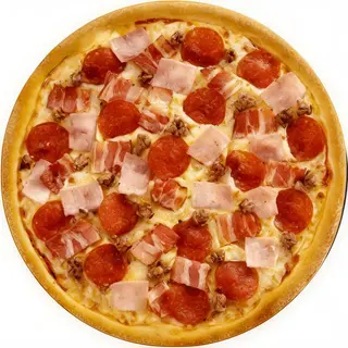 Carnivora