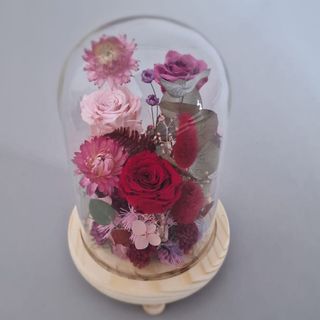 Cupola Florala cu  Trandafiri Criogenati