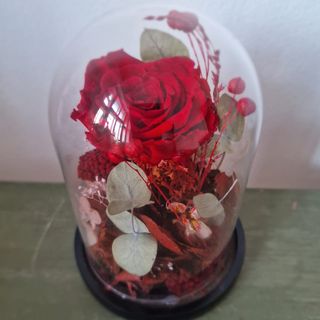 Cupola Cu Trandafir Criogenat