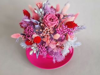 The Garden 's Secret Cups - Gradina ascunsa