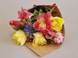 1 x MARTISOR COLORAT