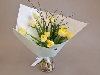 Buchet 11 Lalele Ivoire