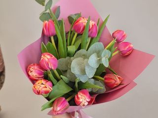 Buchet 11 Lalele Batute si Eucalipt la Alegerea floristului