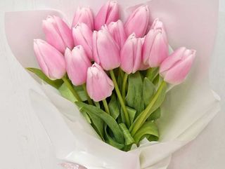 MARTISOR 11 LALALELE ROZ