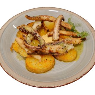 Tentacule de calamar