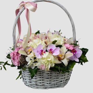 Cos cadou cu orhidee cymbidium si hortensii