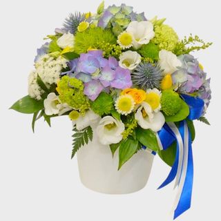 Aranjament cadou cu hortensie albastra