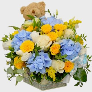 Aranjament nou-nascut cu ursulet