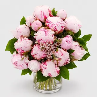 Buchet 15 bujori roz