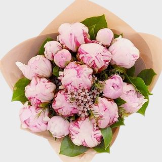 Buchet 15 bujori roz