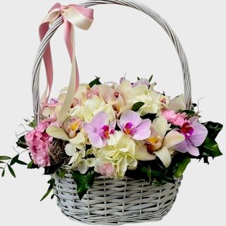 Cos cadou cu orhidee cymbidium si hortensii