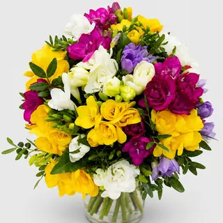 Buchet cu 19 frezii colorate