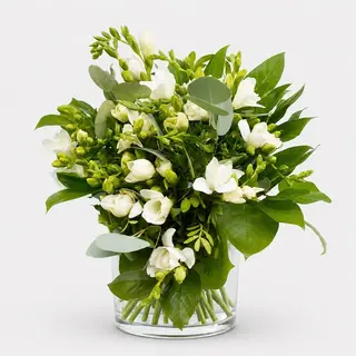 Buchet cadou cu 21 frezii albe