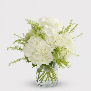 Buchet 3 hortensii mix
