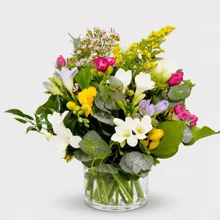 Buchet 11 frezii multicolre