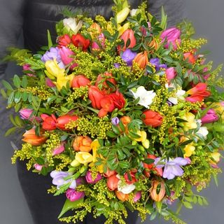 101 lalele si frezii- Buchet Primavara in culori